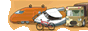 AnimaTransport : Jeu de gestion
