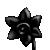 Jonquille