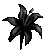 Lys