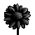 Marguerite