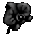 Orchidée